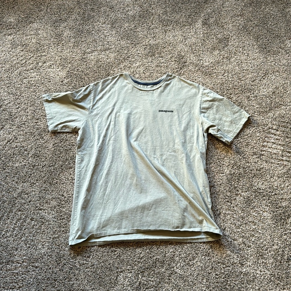men’s Patagonia short sleeve T-shirt